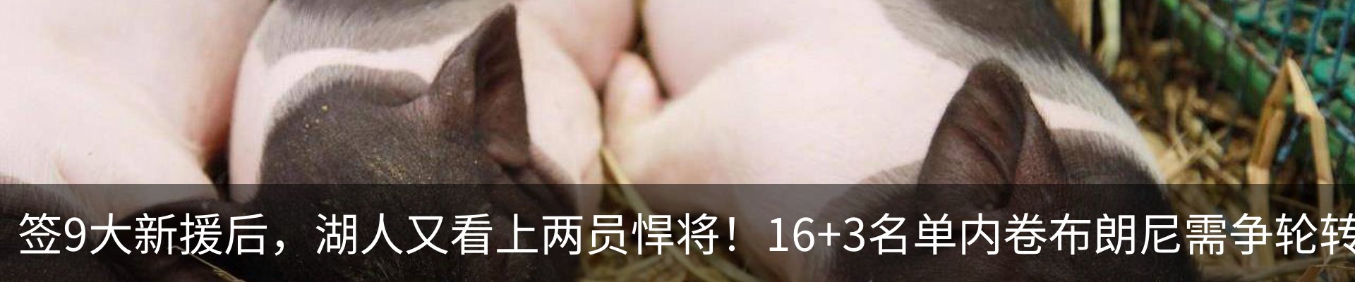 资讯动态